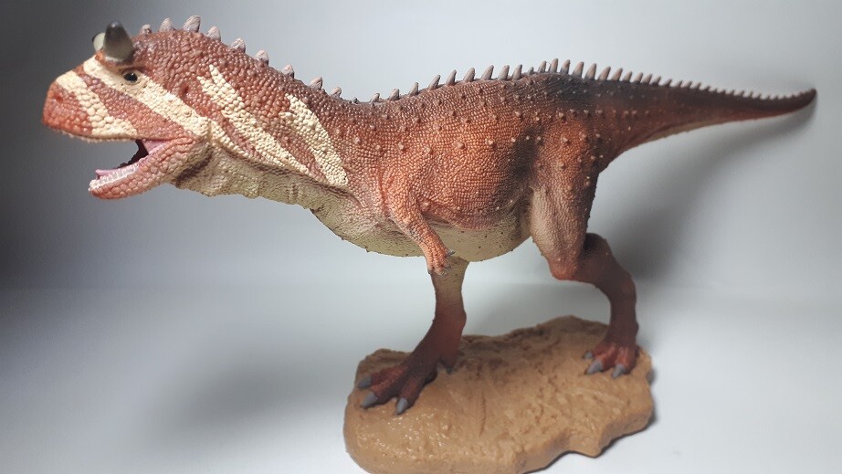baryonyx collecta 2019